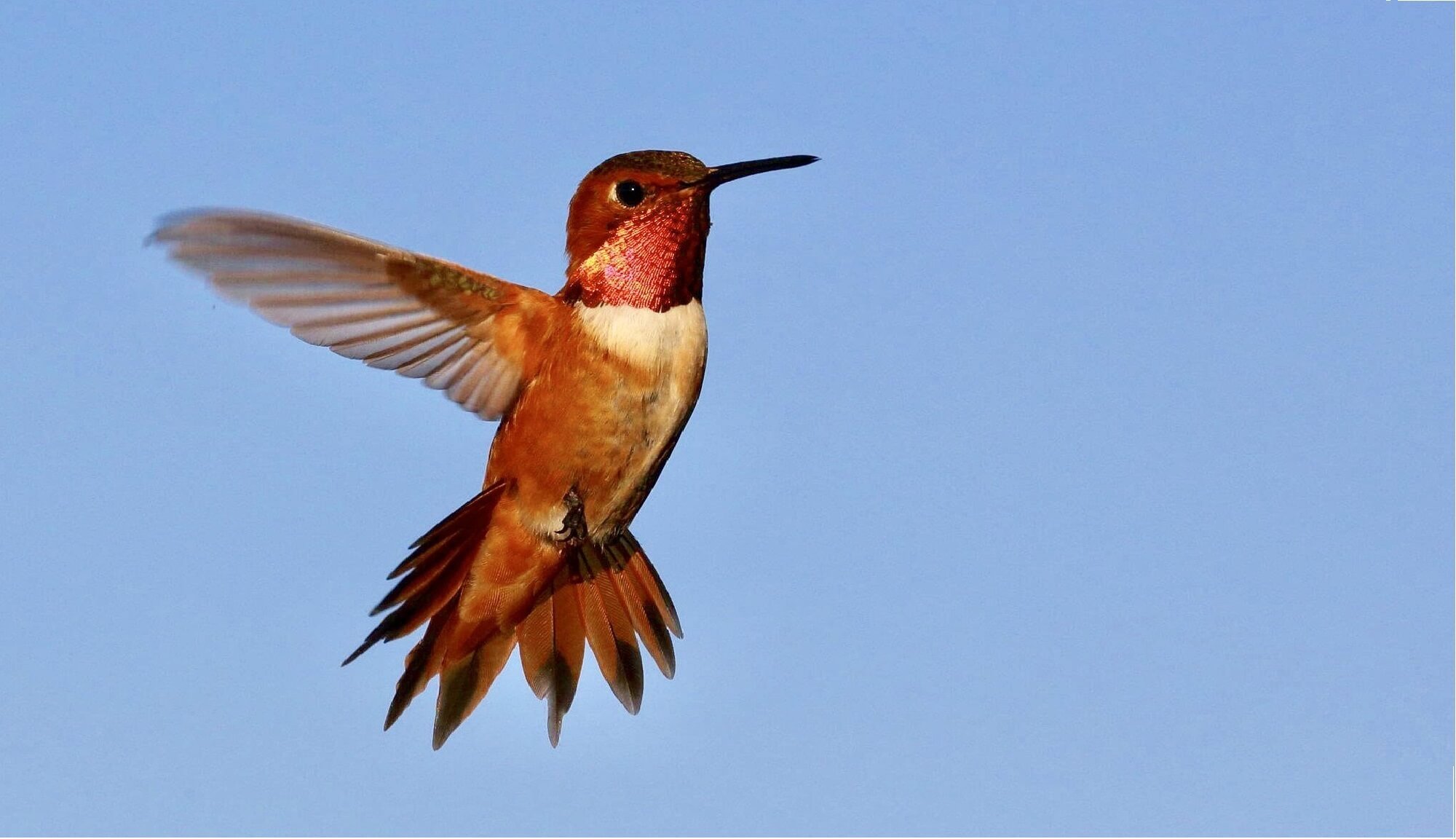 Casa FLY
